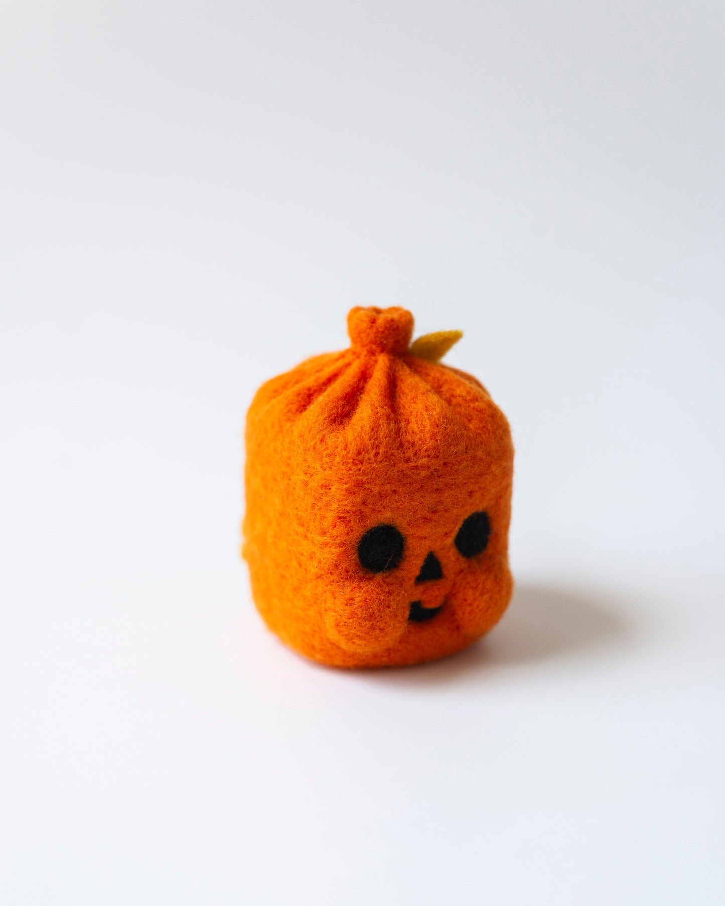 Pumpkin Leaf Bag