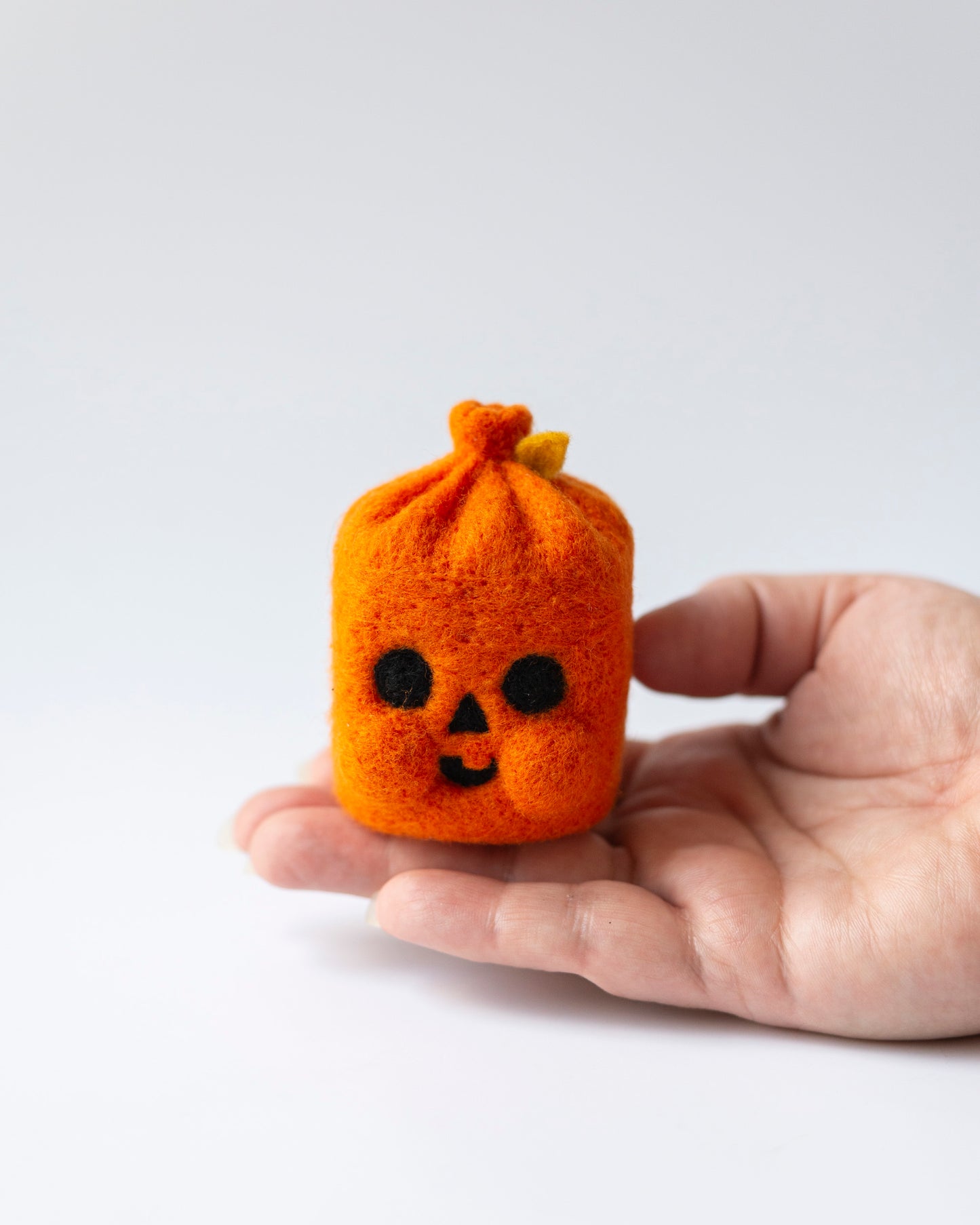 Pumpkin Leaf Bag