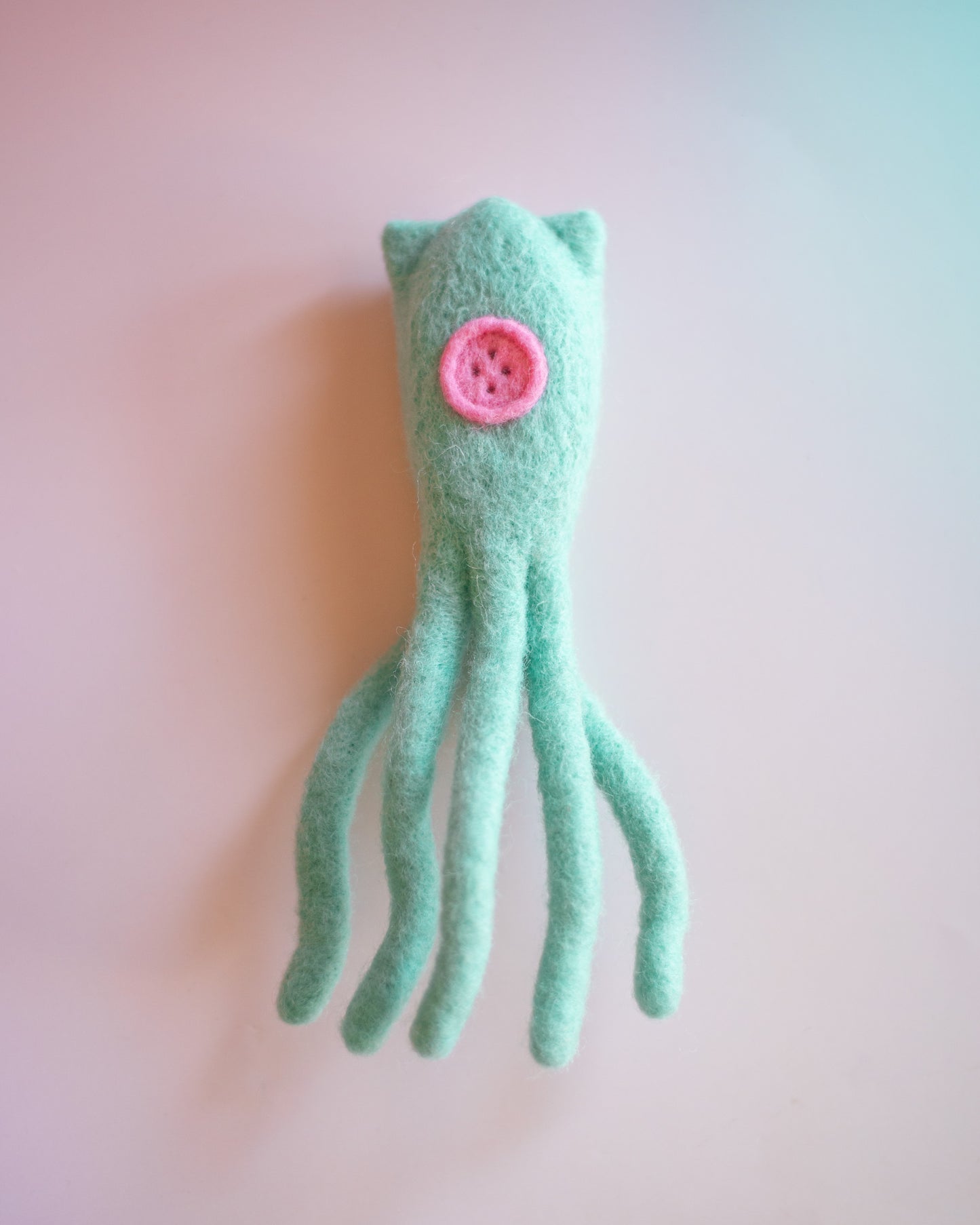 Coraline Squid