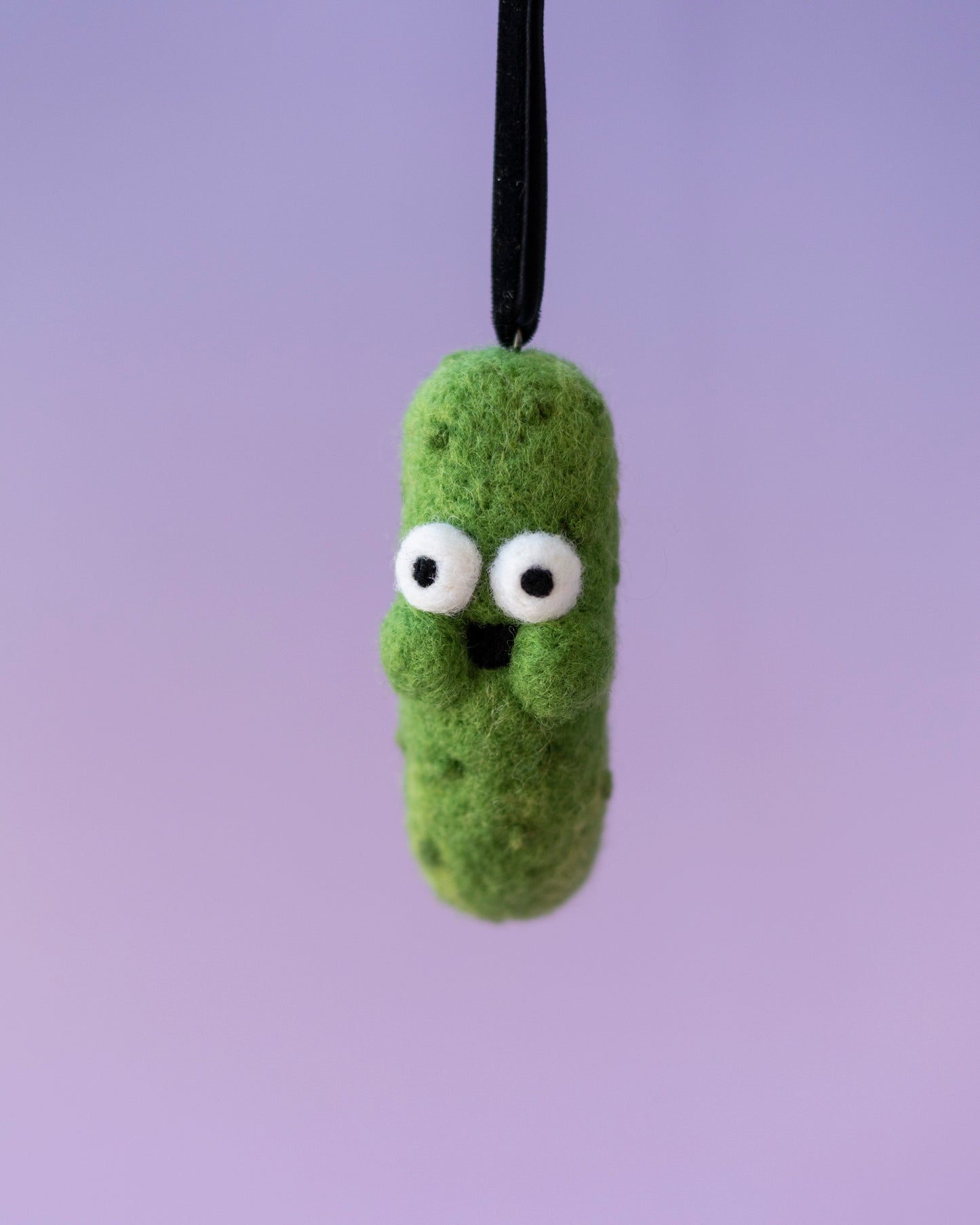 Pickle Pal
