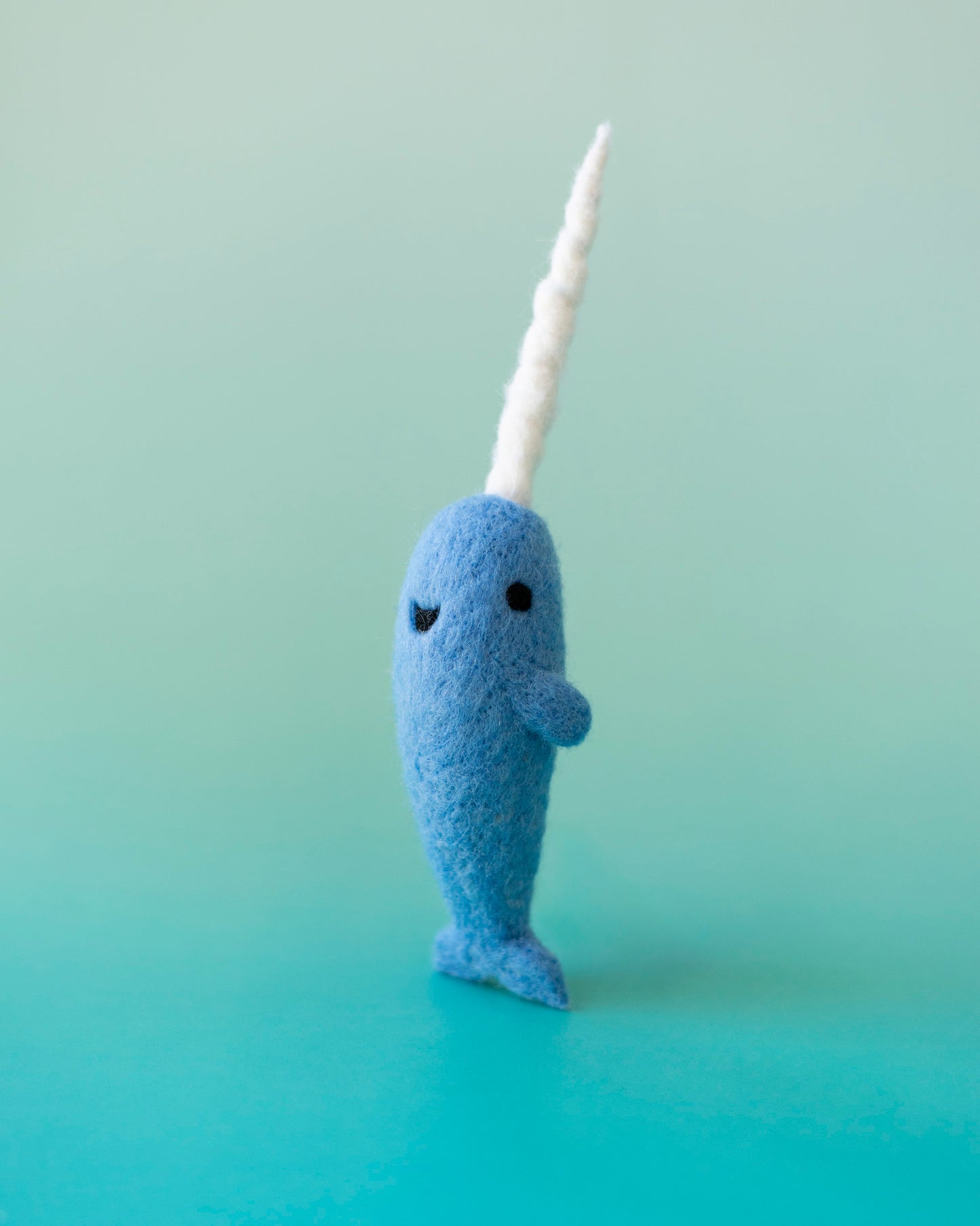 Mr. Narwhal