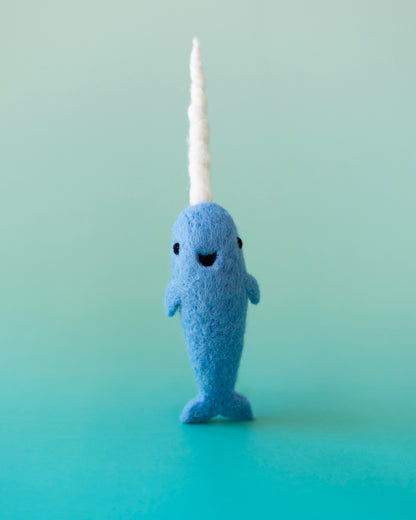 Mr. Narwhal