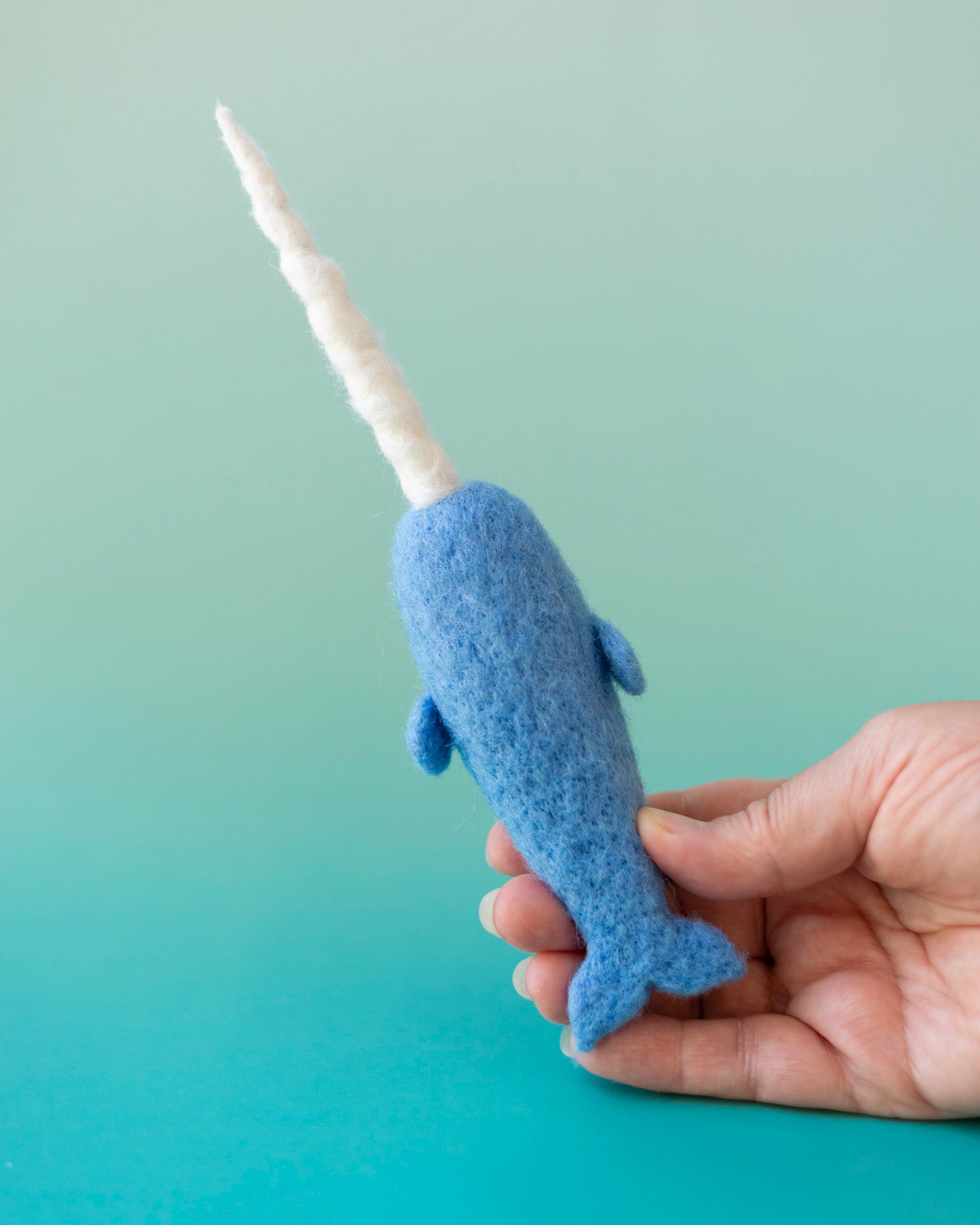Mr. Narwhal