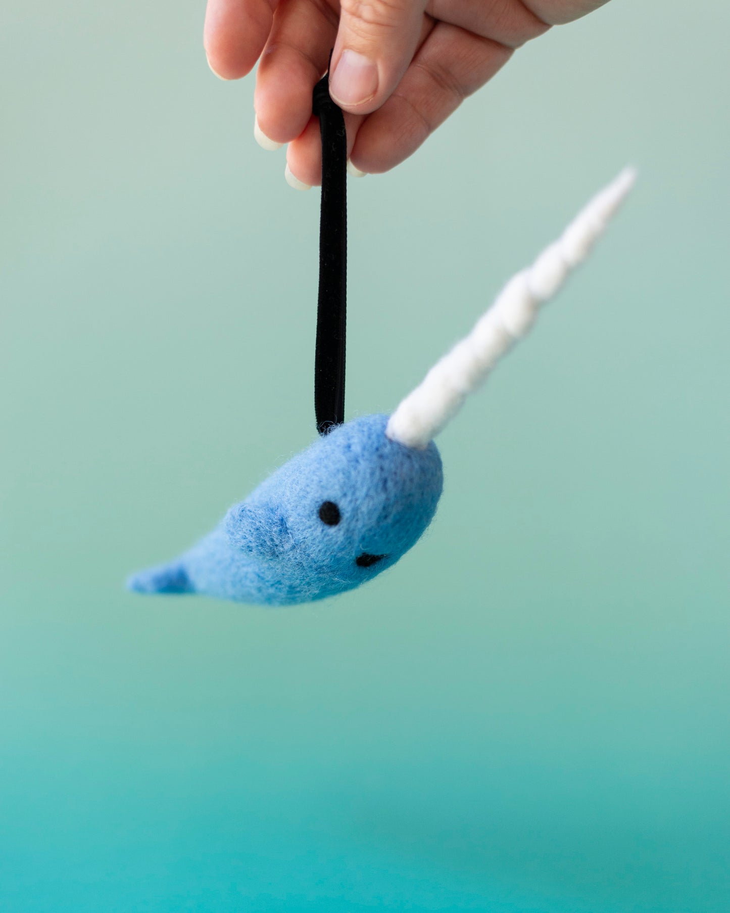 Mr. Narwhal