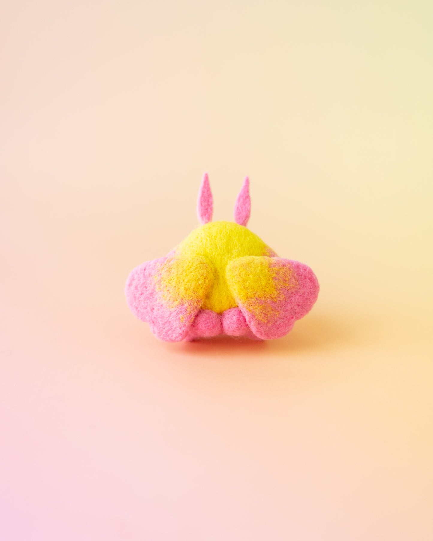 Moth Man