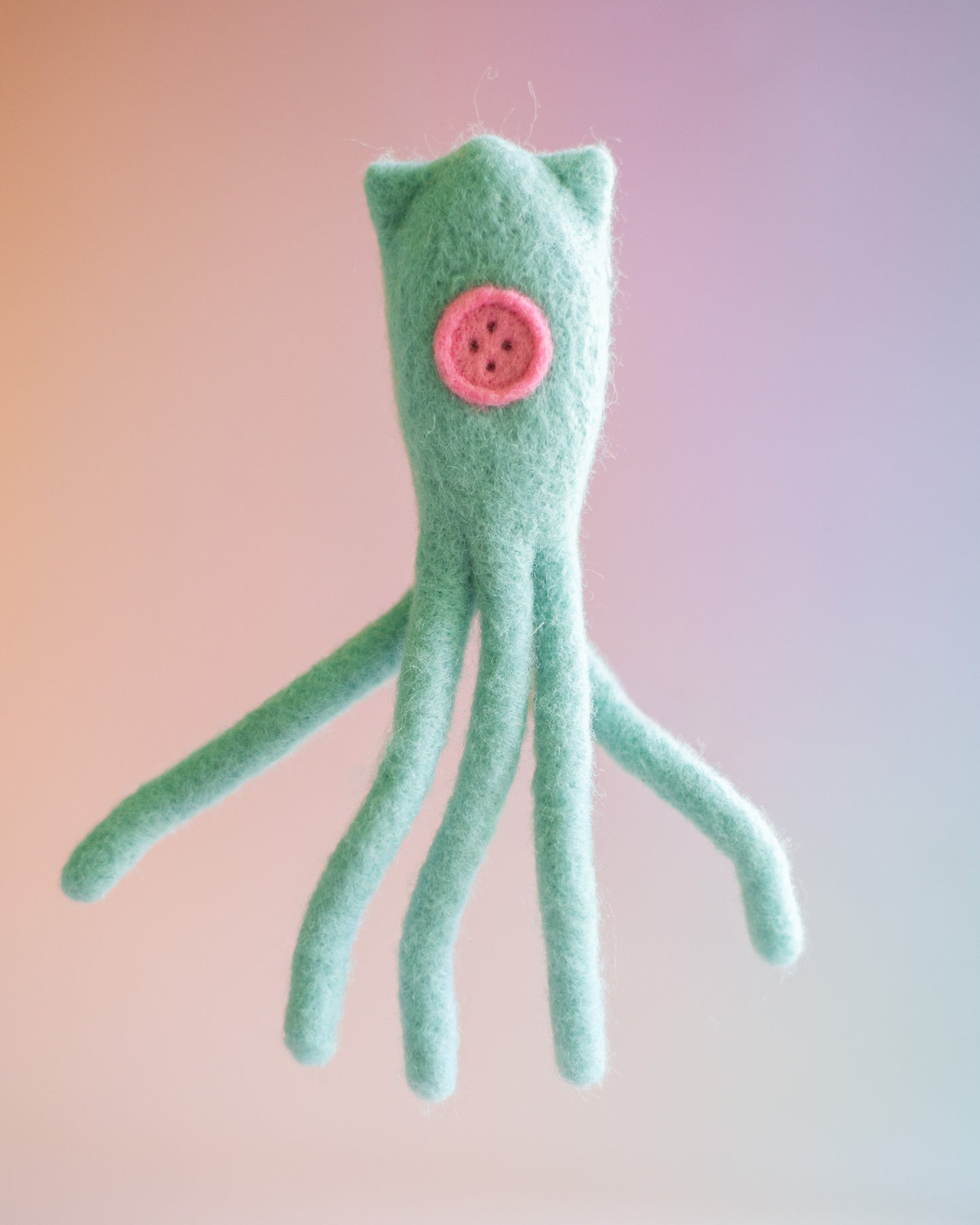 Coraline Squid