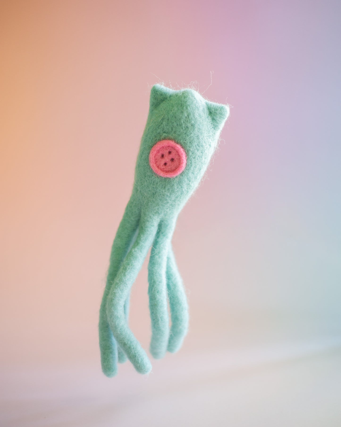 Coraline Squid