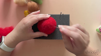 Mushroom Cottage Needle Felting Kit